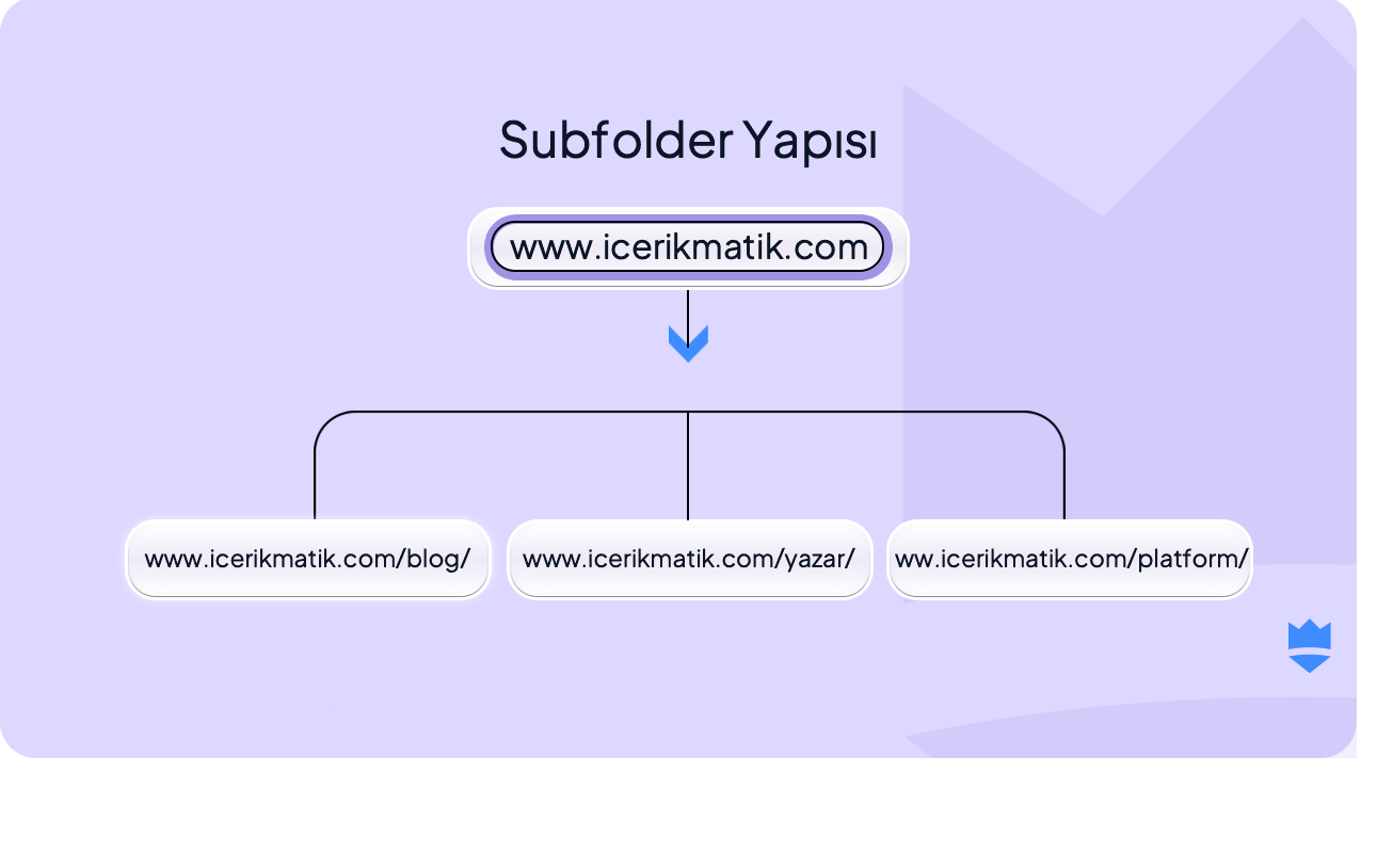 Meksika Açmazı: Blog İçin Subdomain mi Yoksa Subfolder mı Tercih Edilmeli?